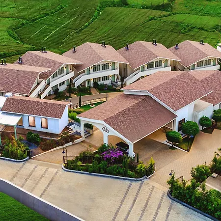 Mango Hill Shola Ooty-3