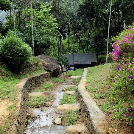 Garden Of Eden-Thottam Munnar-Hiking And Camping-3