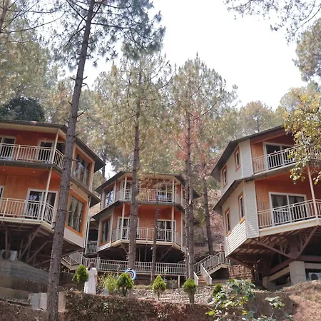 The Woods Retreat-3