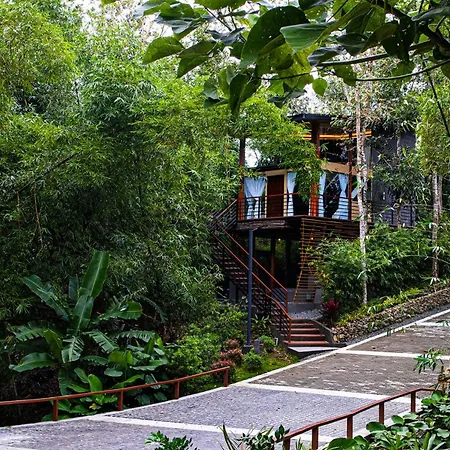 House Of Gaia-3