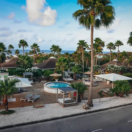 Chogogo Dive & Beach Resort Curacao-3