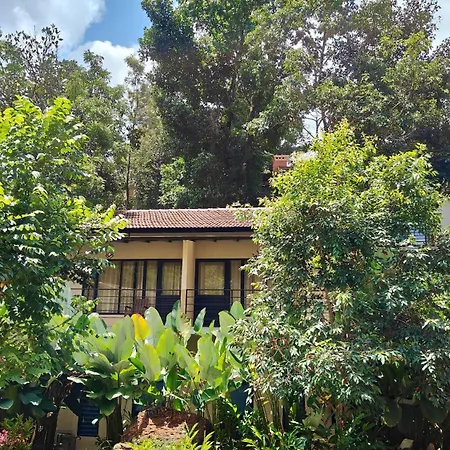 Safari Hills Vythiri-2
