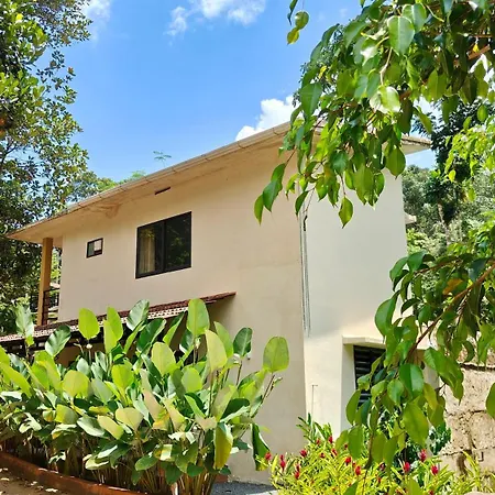 Safari Hills Vythiri-2
