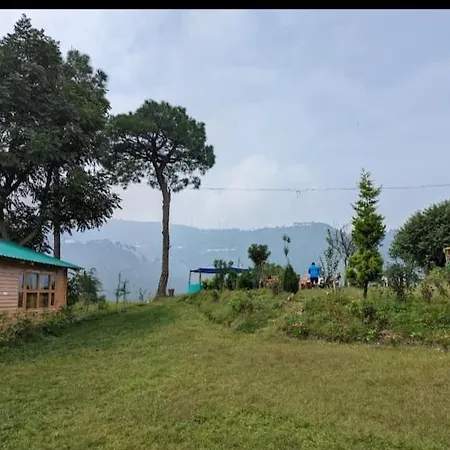 Golden Valley Cottages, Chail-2