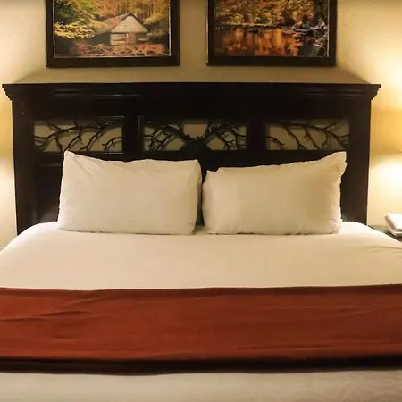 Westgate Smoky Mountain Resort And Water Park-3