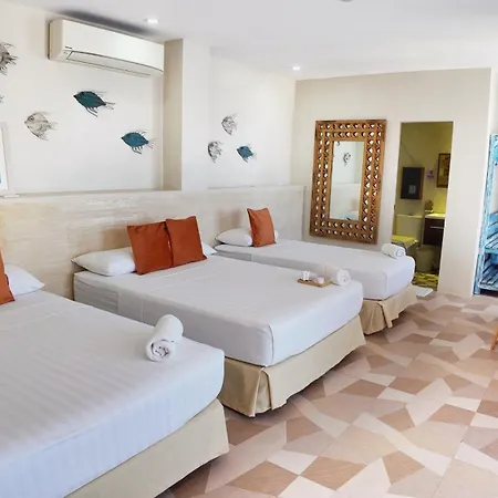 Oslob Whale Shark Resort-3