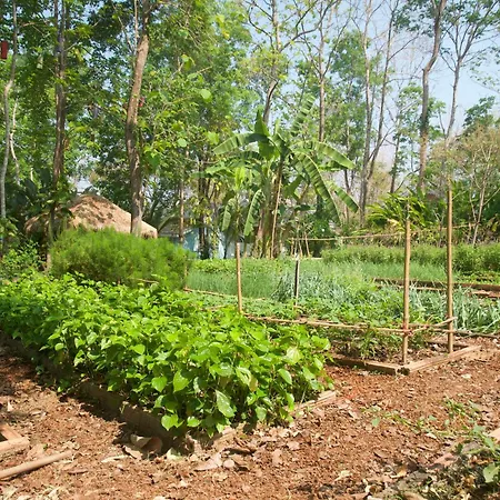 Monoceros Resort-3