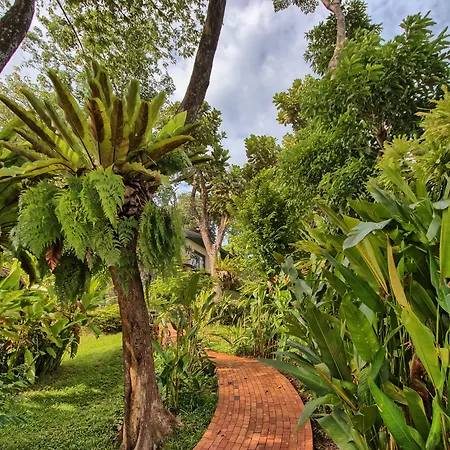 Mangosteen Ayurveda & Wellness Resort - Sha Plus-3