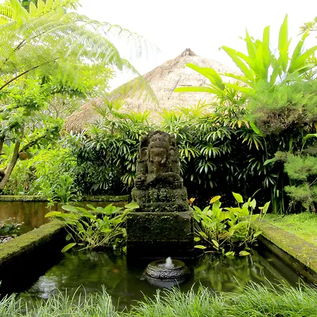 The Sungu Resort & Spa-3