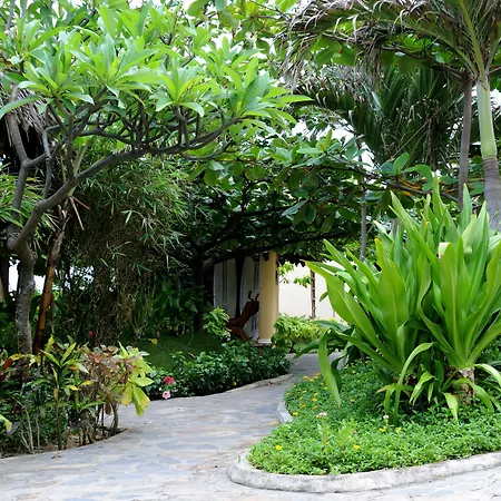 White Sand Resort Mui Ne-3