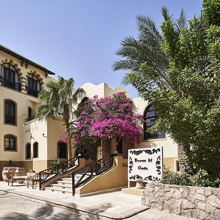 Dawar El Omda (Adults Only)-3
