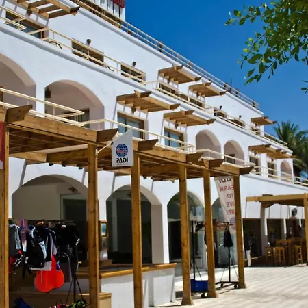 Oonas Dive Club-3