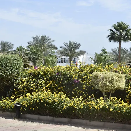 Queen Sharm Aqua Park Hotel-3