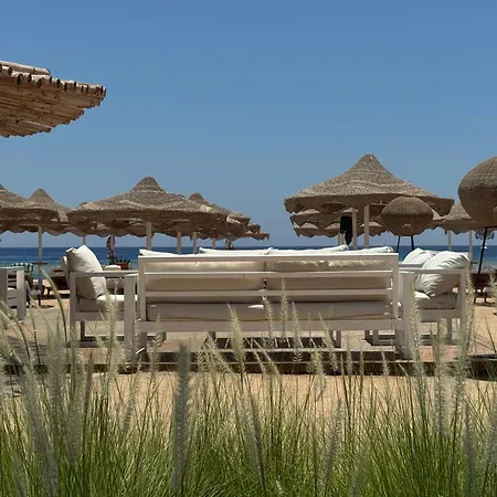 Baron Palms Adults Friendly Only 16 Years Plus Boutique Hotel Style-3