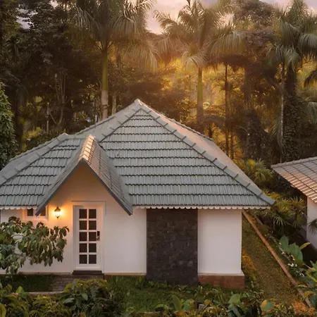 The Woods Resorts Wayanad-2