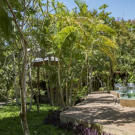 Palm Village Resort & Spa-2