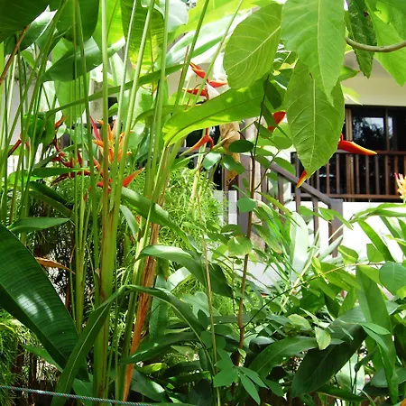 Baan Sawan Samui Resort-2