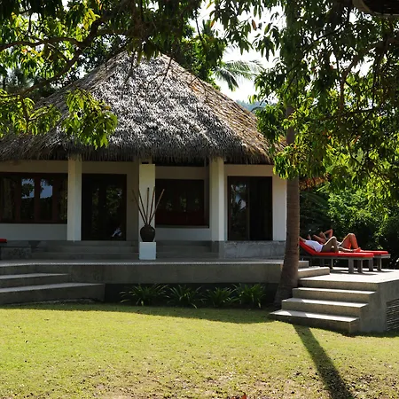 The Jungle Club-2