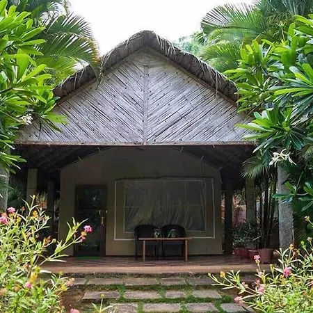 Sai Vishram Beach Resort-3