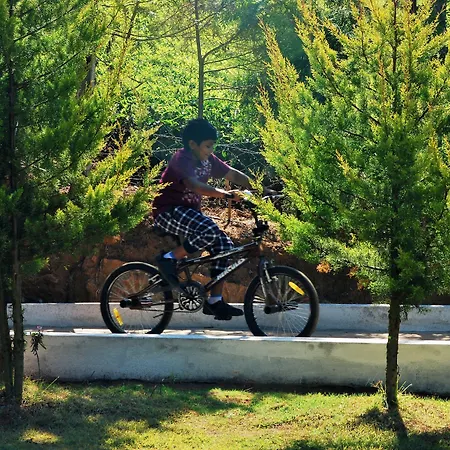 Green Nest Resort Ooty-3