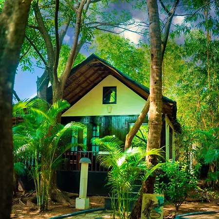 La La Land Resort Goa-2
