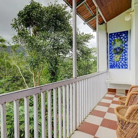 Coorg Heritage Hill View-3