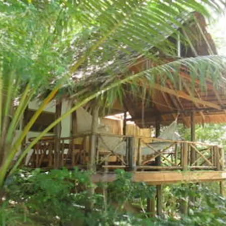 Viking Nature Resort-3