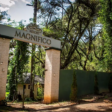 Resort Magnífico-2