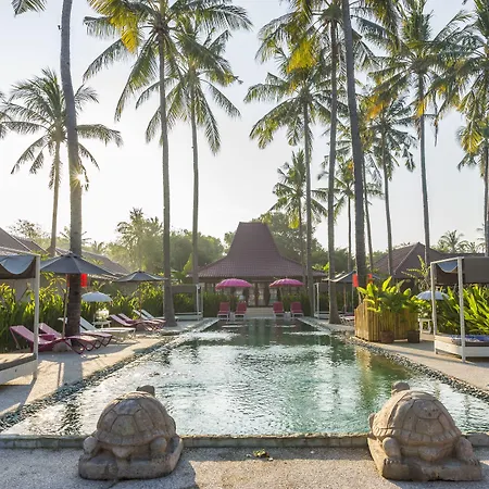Pinkcoco Gili Air - Constant Surprises & For Cool Adults Only-2