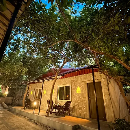 Ranthambhore National Resort-3