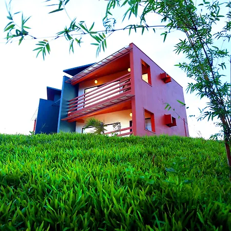 Petals Resorts Wayanad-2