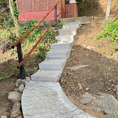 Viking Nature Resort-2