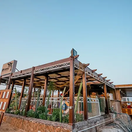 Aladdin Beach Resort - Families And Couples Only-3