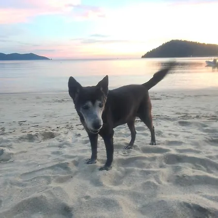 Yuyu Golden Beach-3