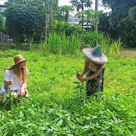 Phuket Nonnita Boutique Resort & Organic Farm-2