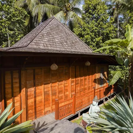 The Shala Bali-2