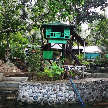 Nature Green Forest Resort-3