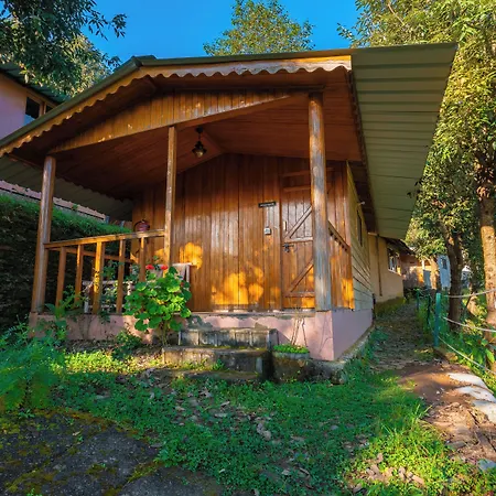 Oak Climbing Resort-2
