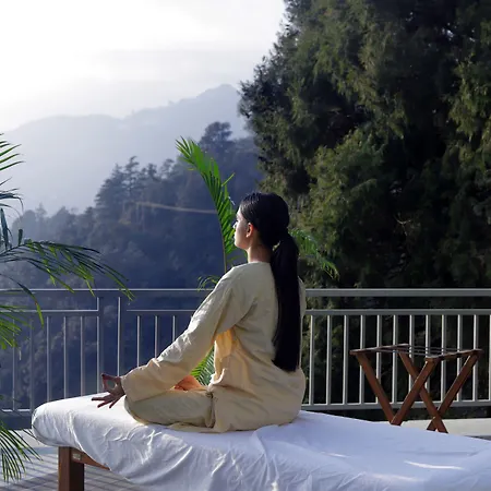 Yog Wellness Resort & Spa By Amritara-2