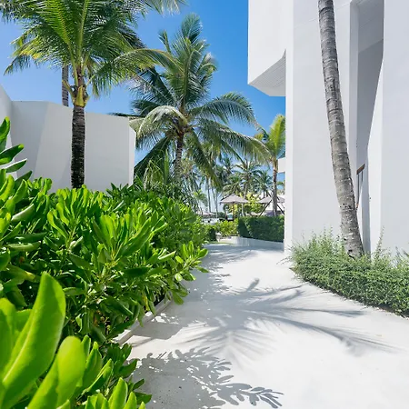 La Vida Samui-3