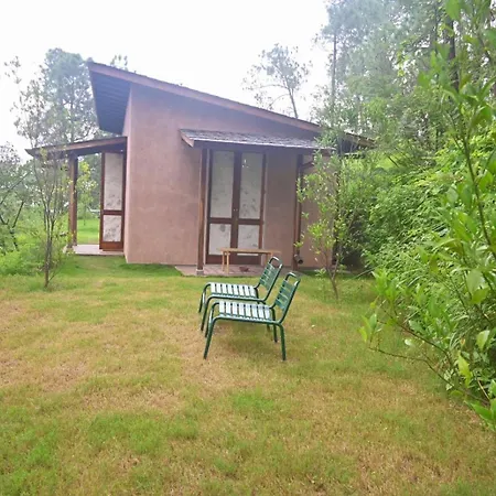 Amaya Kasauli-2