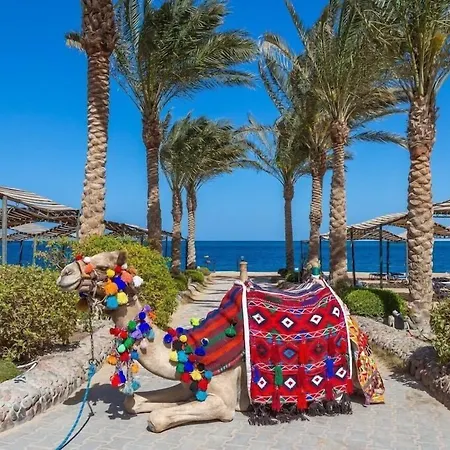Sphinx Aqua Park Beach Resort-3