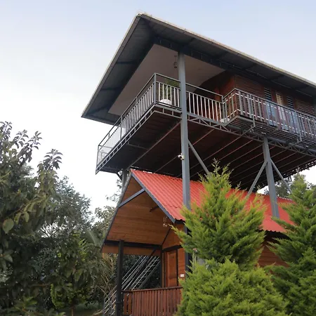 Coorg Riverness Resort-2