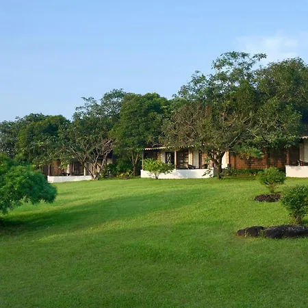 The Fern Samali Resort Dapoli, Series By Marriott-3