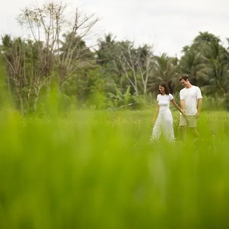 Beehouse Dijiwa Ubud-3
