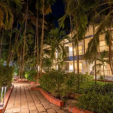 Vits Select Casuarina Diveagar-3