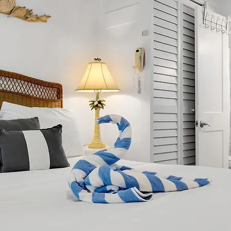 Tropic Terrace Suite #50 - Beachfront Resort-2
