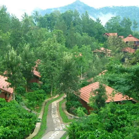 Wayanad Heritage Pool Resort-3