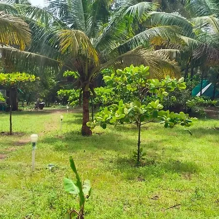 Anariya At Gokarna-2