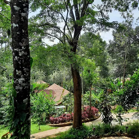 Willow Resorts Wayanad-3